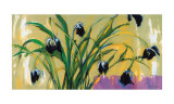 Buy Black Tulips at AllPosters.com