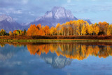 Mount Moran