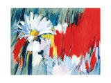 Daisies in Basic Colors