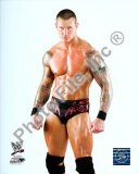 Buy Randy Orton at AllPosters.com