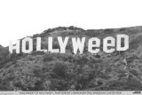 Buy Hollyweed at AllPosters.com