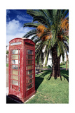 Buy Telephone Booth, Bermuda at AllPosters.com
