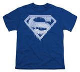 Youth: Superman - Ice and Snow Shield T-Shirt