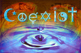 Buy CoExist at AllPosters.com