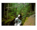 Buy Avalanche Gorge at AllPosters.com