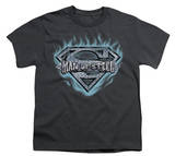 Youth: Superman - Man of Steel Shield