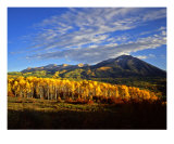 Buy West Beckwith Mountain at AllPosters.com