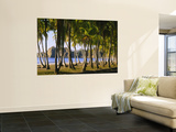Buy Palm Trees on the Beach, Carrillo Beach, Nicoya Peninsula, Guanacaste Province, Costa Rica at AllPosters.com