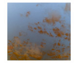 Coffee Clouds