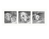 Buy Golden Pup Triptych at AllPosters.com