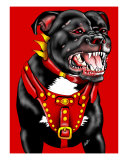 Pitbull Dog Portrait