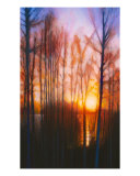 Winter Siljan Sunset 2 Giclee Print