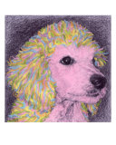 Buy Pretty In Pink at AllPosters.com