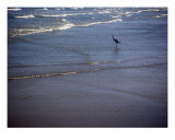 Being One With The Gulf - Watching
