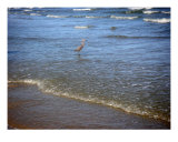 Being One With The Gulf - Expectation