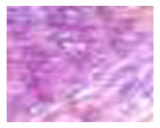 Purple Sapphire Hollistic Healing Pattern