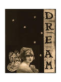 Buy Vintage Dream at AllPosters.com