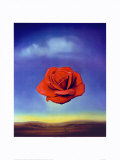 Rose Medidative, c.1958