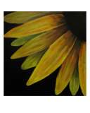 Sunny Side Giclee Print