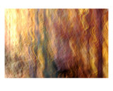 Gold Swirls
