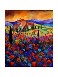 Buy Tuscany Poppies at AllPosters.com