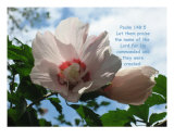 Buy Rose Tree With Scriptures at AllPosters.com