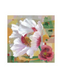 Buy Papaver Somniferum at AllPosters.com