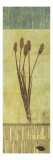 Buy Blue Grass at AllPosters.com