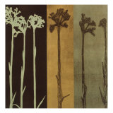 Buy Sepia Sunset at AllPosters.com