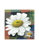Buy Margarita at AllPosters.com