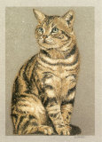 Cesar