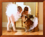 Reluctant Dancer