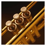 Trumpet II