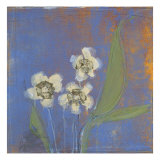 Orchid Study I