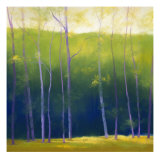 Buy Summer Leaves at AllPosters.com