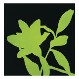 Buy Fiore Verde at AllPosters.com