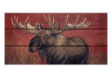 Buy Contemplation at AllPosters.com