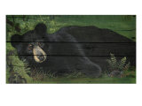 Buy Lazy Bear Ranch at AllPosters.com