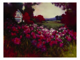 Rhodies II