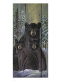 Buy Alpine Bear Lodge at AllPosters.com