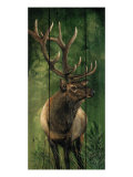 Buy Solitary Vigil II at AllPosters.com