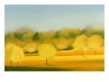 Sunlight Returns I