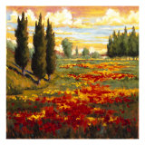Tuscany in Bloom I