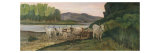 Buy Oxen Near the Arno River at AllPosters.com