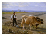 Buy Plowing, 1897 at AllPosters.com