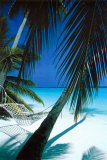 Palm View Hammock