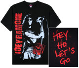 The Ramones - Hey Ho Let's Go