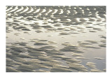 Buy Ripple-Patterned Tidal Flat at Low Tide, Brewster, Cape Cod, Massachusetts at AllPosters.com