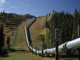Buy Trans-Alaska Pipeline Passing over Squirrel Creek, Chugach Range, Alaska at AllPosters.com