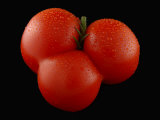 Buy Large, Red Tomato with Three Lobes, Arlington, Massachusetts, USA at AllPosters.com